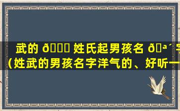 武的 🐋 姓氏起男孩名 🪴 字（姓武的男孩名字洋气的、好听一点的）